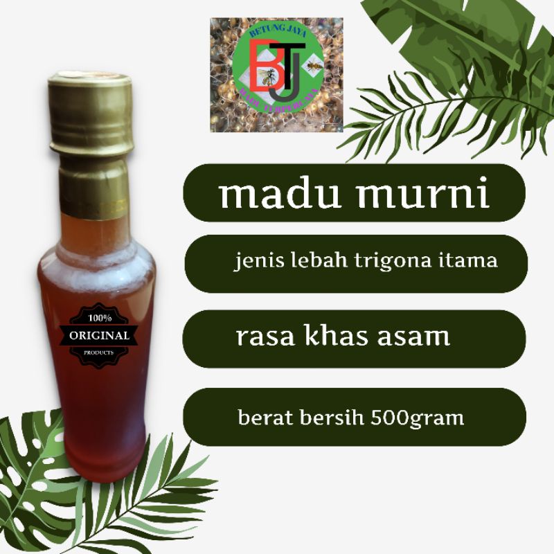

MADU MURNI, ASLI MADU TRIGONA OBAT HERBAL