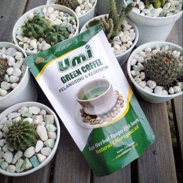 

Umi Green Coffe