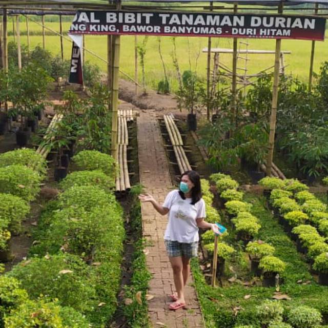 sasti_pradwi