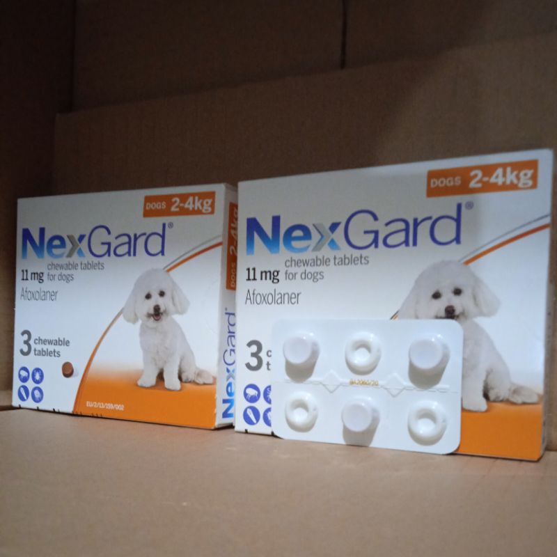 NexGard for dog (2-4kg) obat kutu dan demodex small dog 1tablet