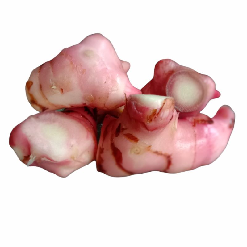 

Lengkuas merah 250g/500g/750g/1kg