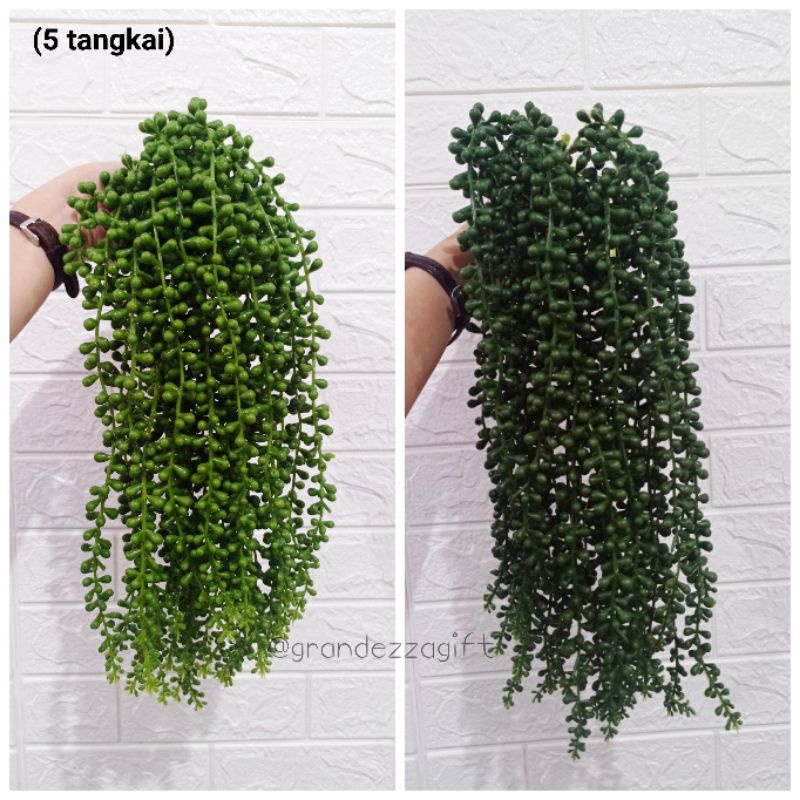 SUKULEN GANTUNG X5 / KAKTUS GANTUNG / STRING OF PEARL / TANAMAN GANTUNG ARTIFICIAL CABANG 5