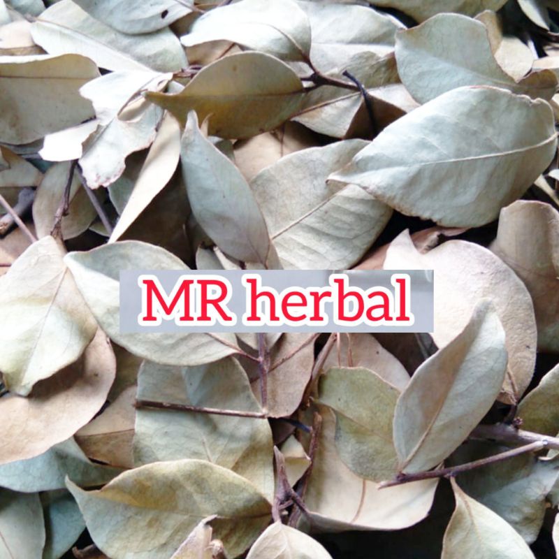 

Daun benalu beringin kering 500 gram