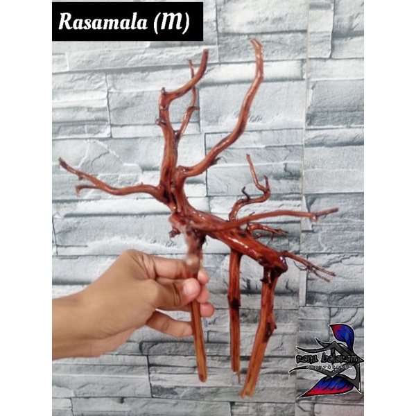 AKAR RASAMALA /KAYU RASAMALA/KEBUTUHAN AQUASCAPE/AKUARIUM
