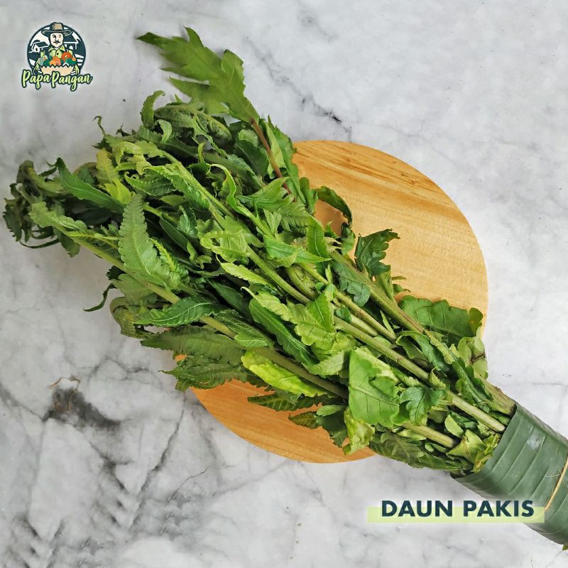 

Daun Pakis Papapangan - 150 gram