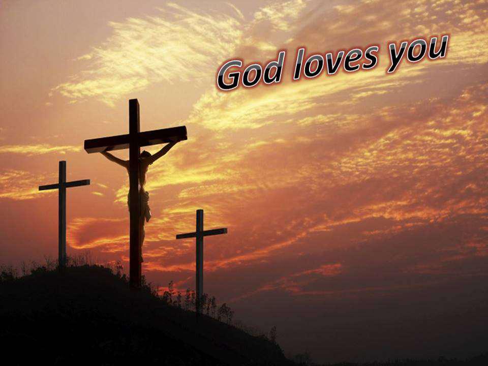 Biji / Benih / Seed Tanaman Karnivora Venus Flytrap