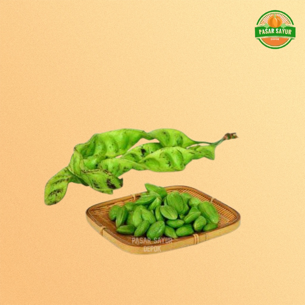 

Petai fresh 75 gram murah segar dan lengkap