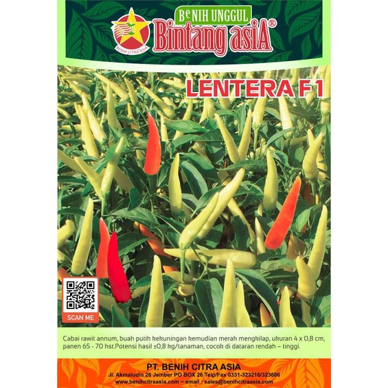 ISI PAKET 25 Bibit Cabe Rawit Setan Hibrida Lentera Benih Cabai Rawit Merah Super Viral Unggul Berku