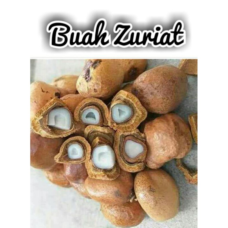 

buah zuriat mesir 1000gr