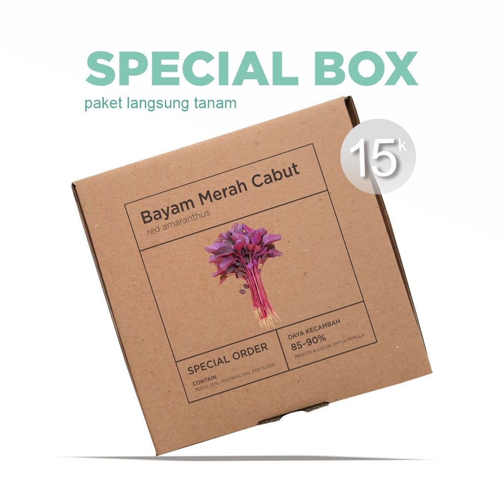 Paket Langsung Tanam - Gardening Kit - SPECIAL BOX - Benih Bayam Merah Cabut Red Amaranthus Seeds