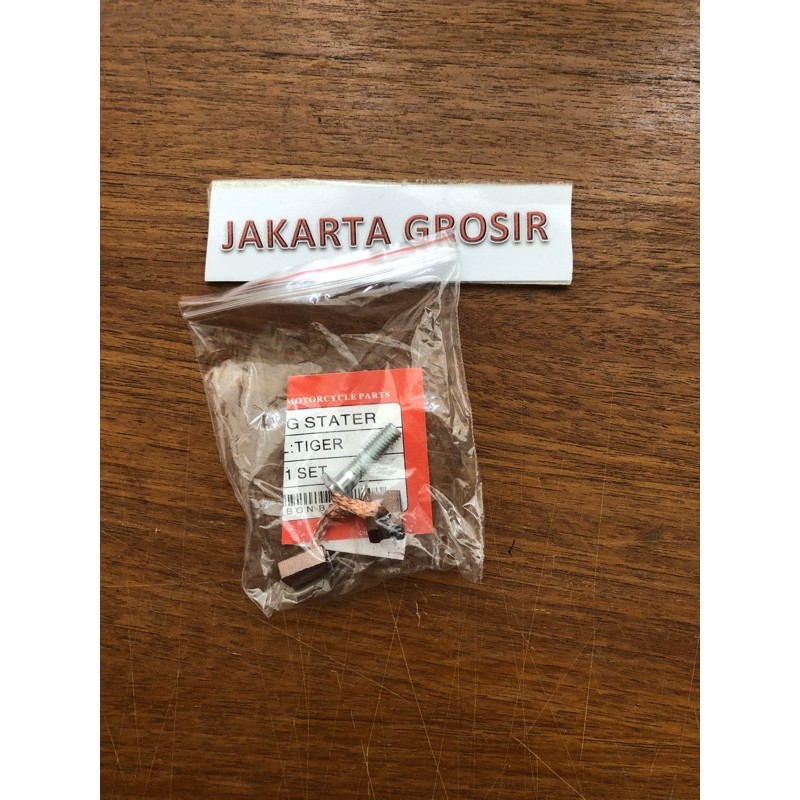 COOL STATER TIGER - ARANG STATER TIGER