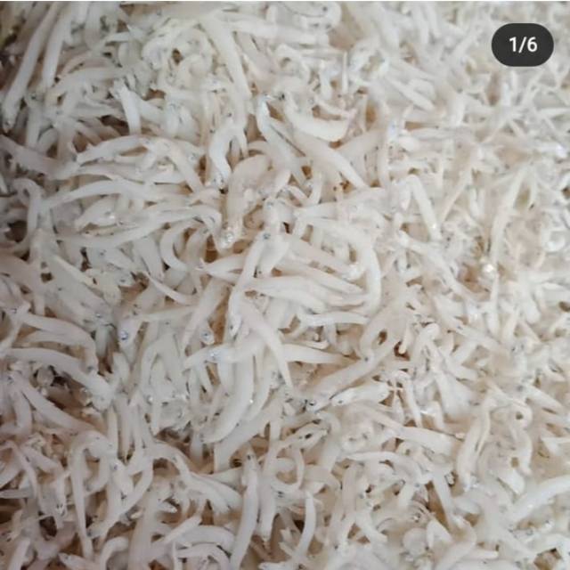 

Ikan teri medan