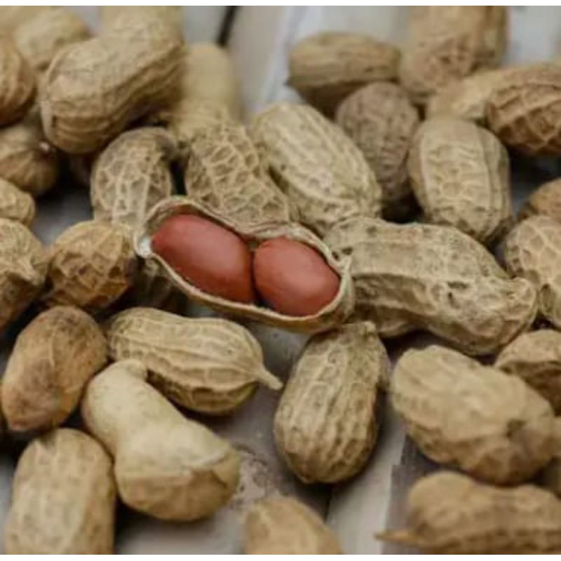 

Kacang Kupas /Kacang tanah 250Gr