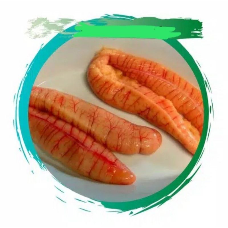 

Telur Ikan / Telur Ikan Kakap