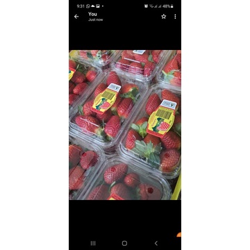 

Strawberry Australia msnis segar 250 gram / pack