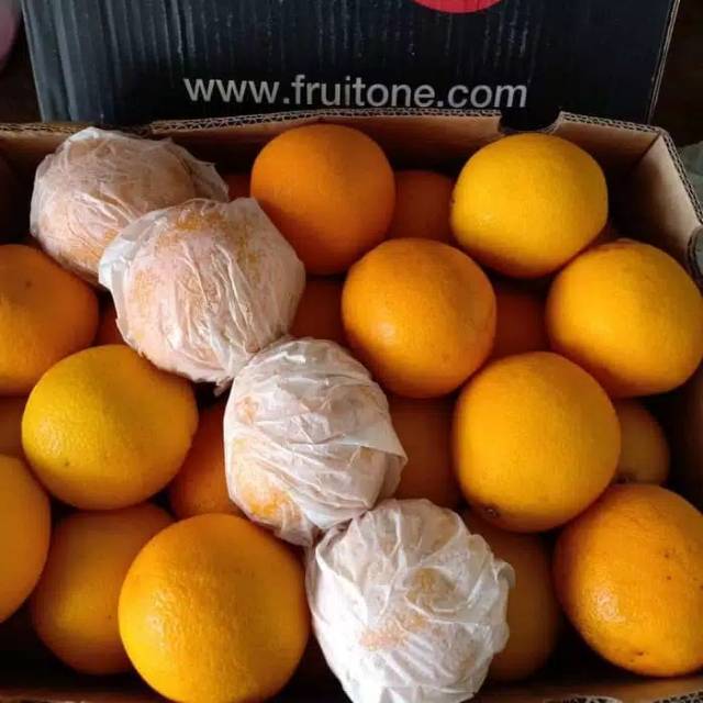 

SUNKIST VALENCIA/1KG