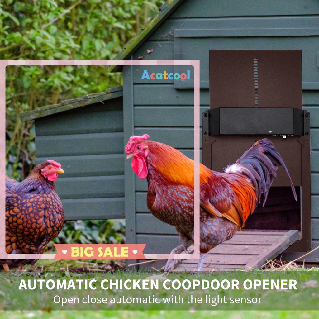 Automatic Chicken Coop Door with Light Sensor Waterproof &amp; Weatherproof