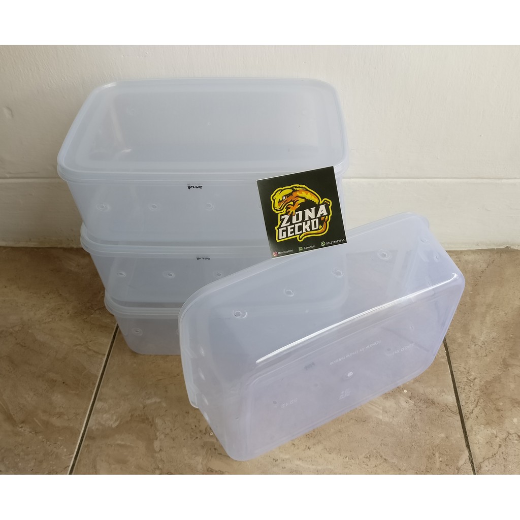 Box/wadah/kotak/kandang plastik leopard gecko reptile