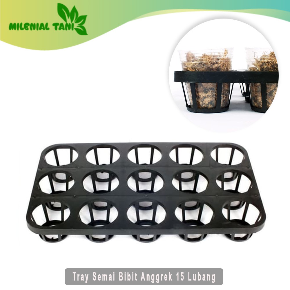 Tray Semai Bibit Anggrek 15 Lubang
