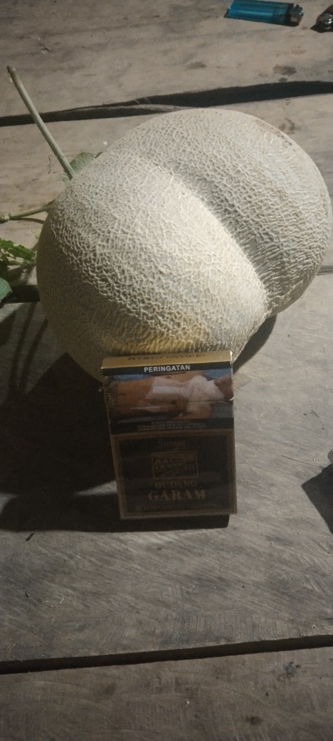 (cod) Sarung Batik Pekalongan| Bahan Halus Katun