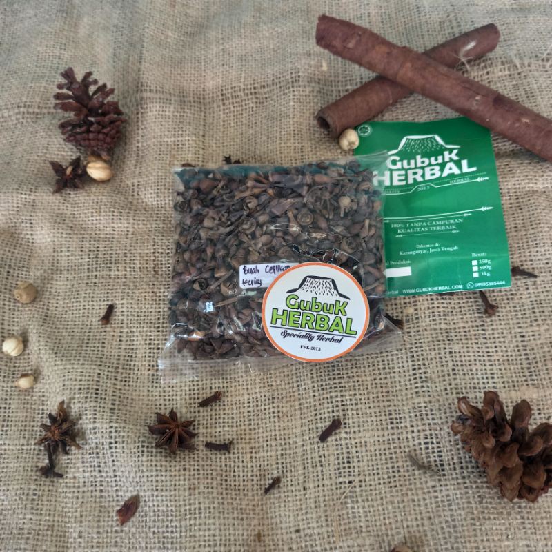 

BUAH CEPLIKAN KERING 100 GRAM - Ruellia Tuberosa - MURNI - JSR -