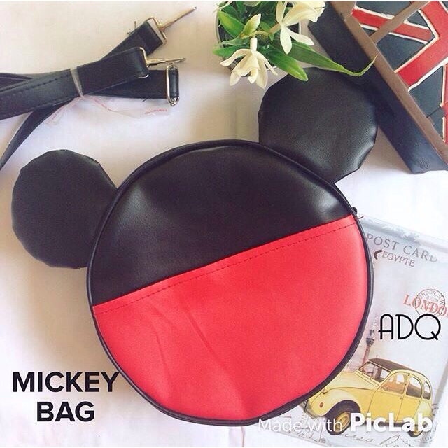 Mickey bag
