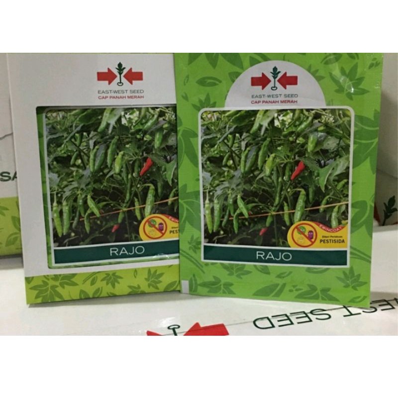 BENIH CABE RAWIT RAJO ISI 350