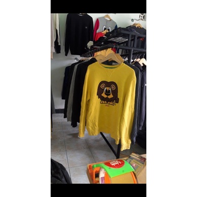 PANCOAT SINGA KUNING