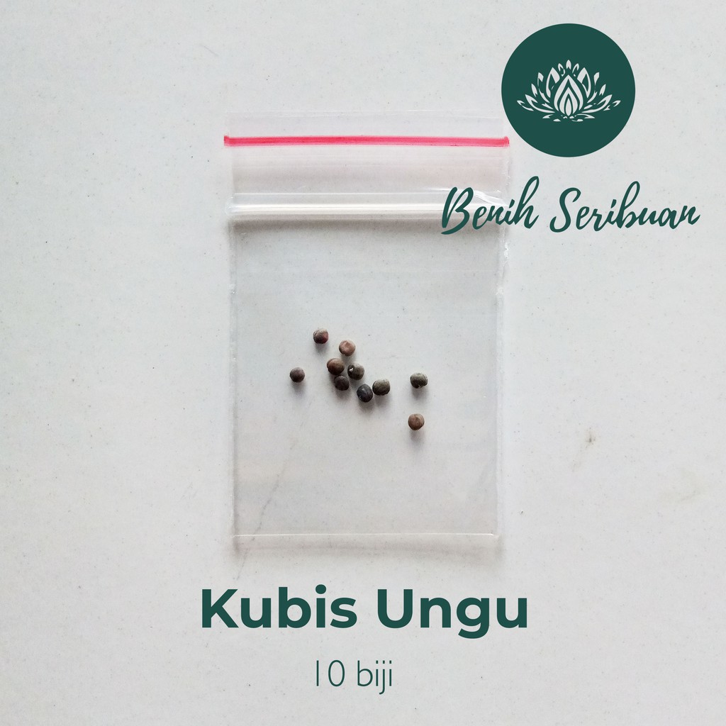 10 Bibit Kol Kubis Ungu F1 Hibrida Scarlet Benih Sayuran Cabbage Tanaman Sayur Known You Seed