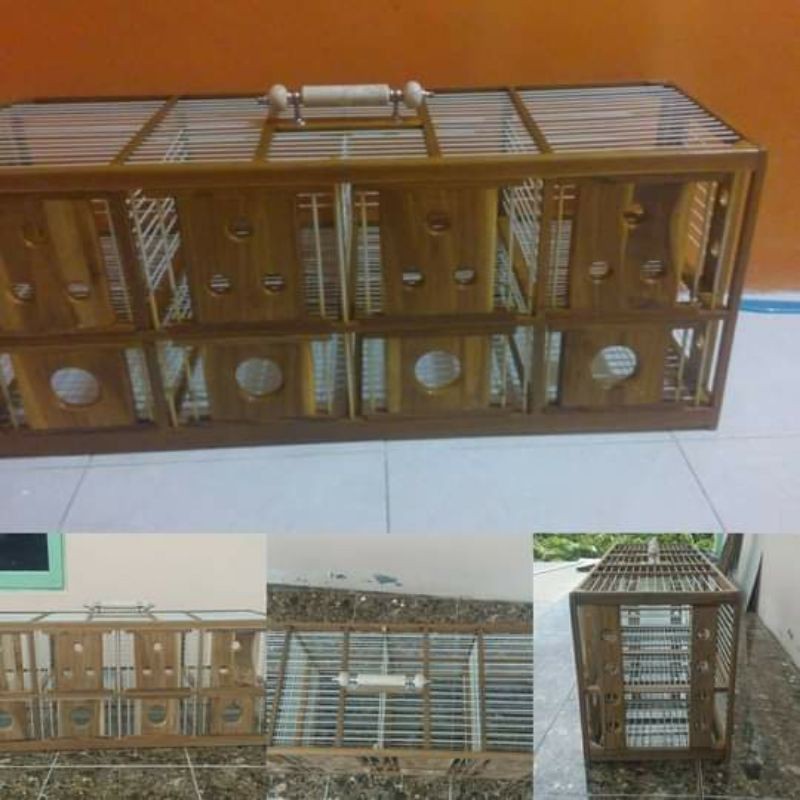 dondang merpati 6&8 pintu