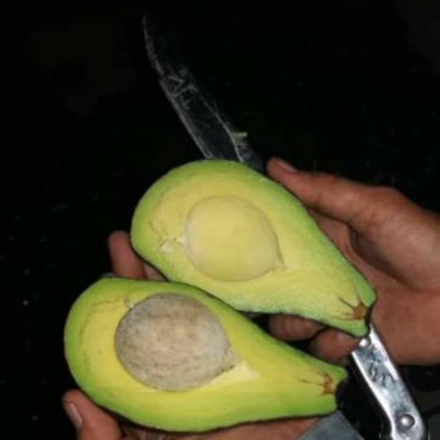 

Alpukat Mentega Isi 4-5/kg - Best Seller