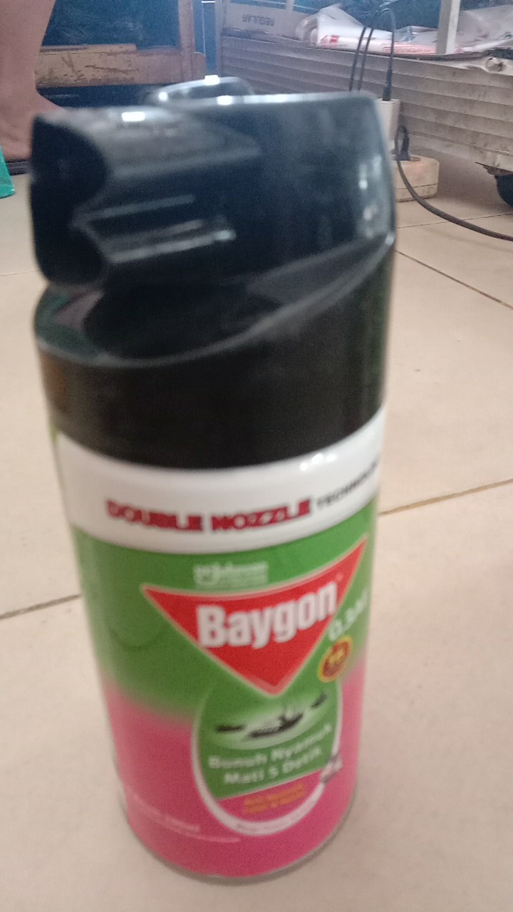 Baygon Flower Garden Double Nozzle 200gr