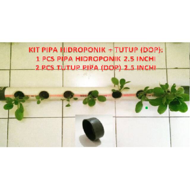KIT PIPA + TUTUP (DOP) HIDROPONIK JADI 2.5 INCHI UNTUK NFT DFT & WICK
