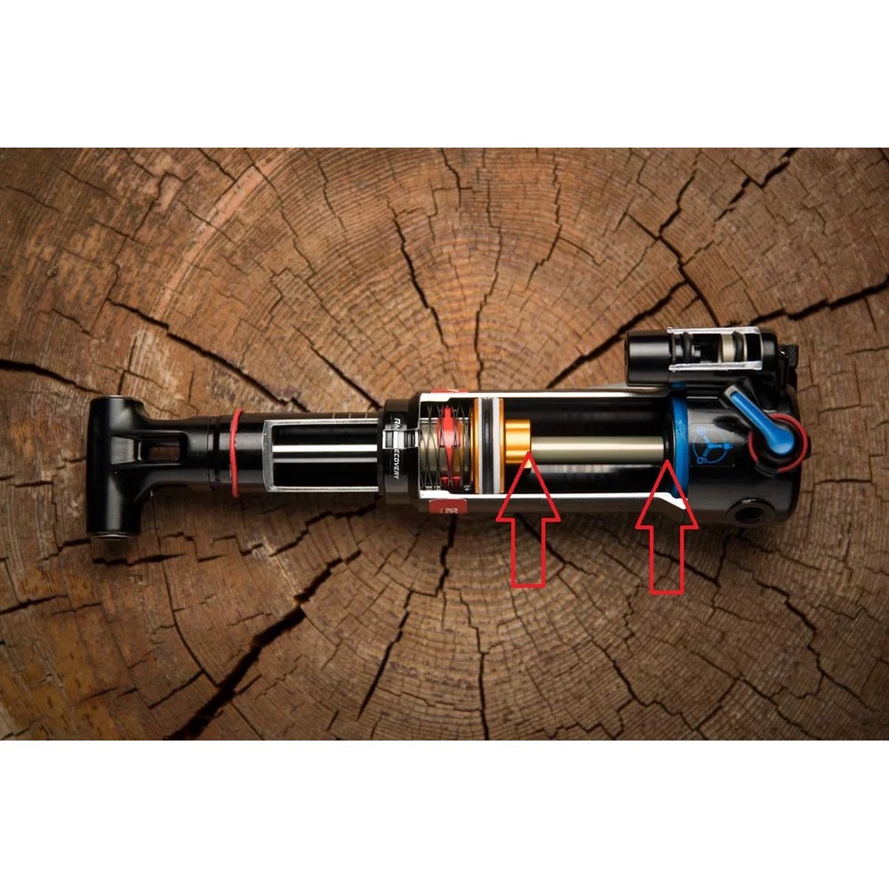 

Seal Fox Seal Shaft Fox