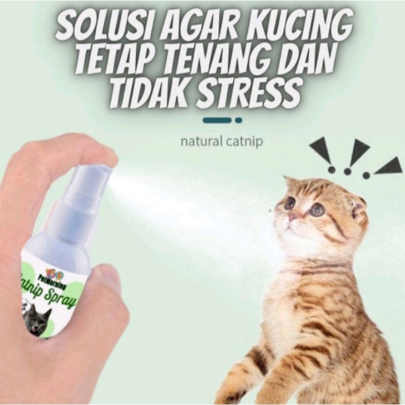 Penghilang Stres Cat Kitten Kucing catnip Spray 60ml