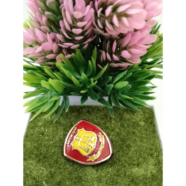 Pin Polri Hukum