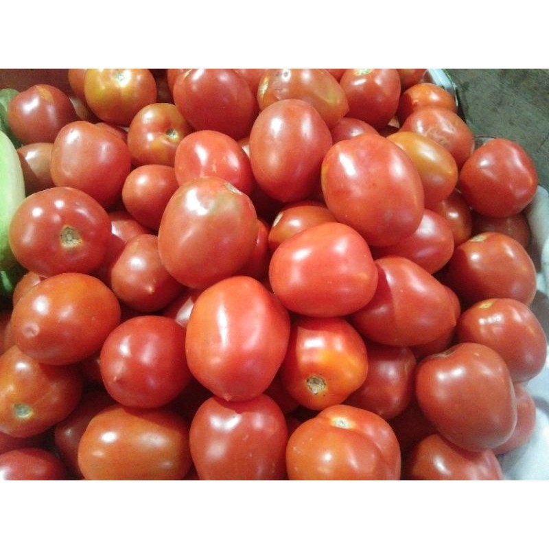 

Tomat Merah Buah Fresh 1 KG Asli Bandung