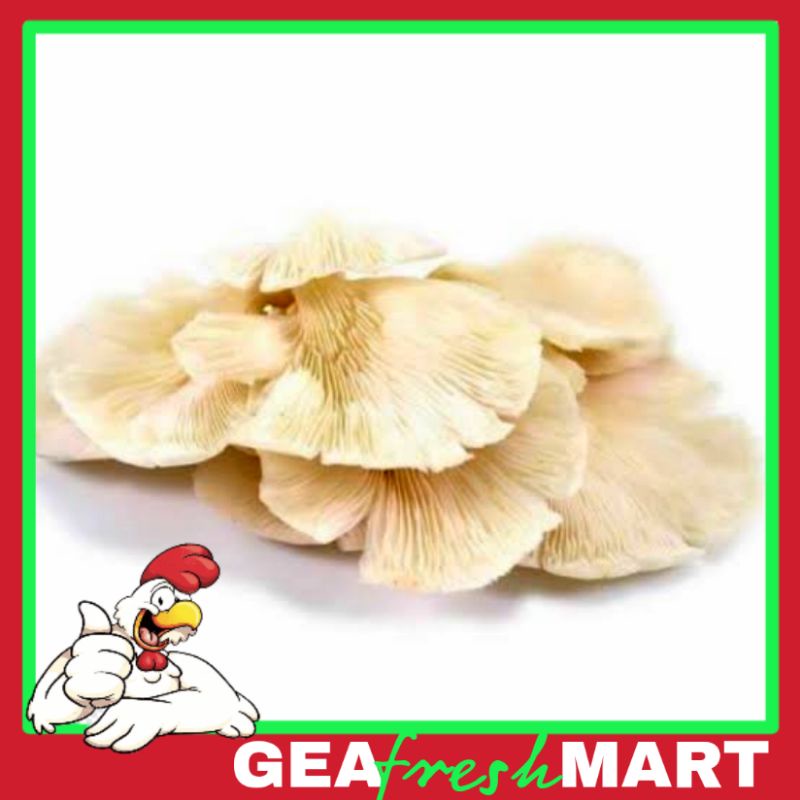 

Jamur tiram 250gr