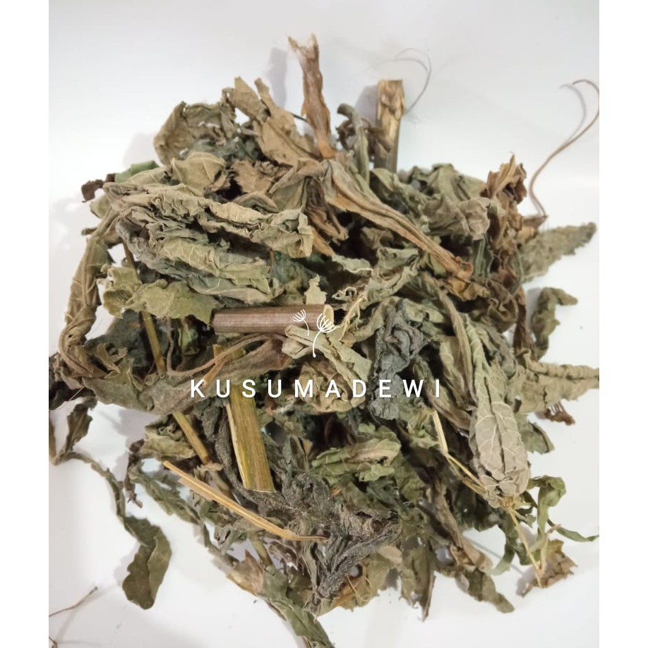 

Daun Galibug / Tempuyung 250 gram