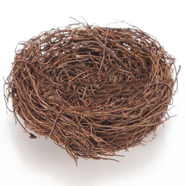 Ornamen Hiasan Kraft Sarang Burung Nest Import Shopee Indonesia