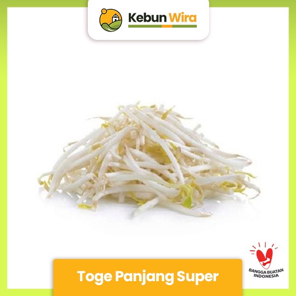

Toge Panjang Super | Tauge Beansprout