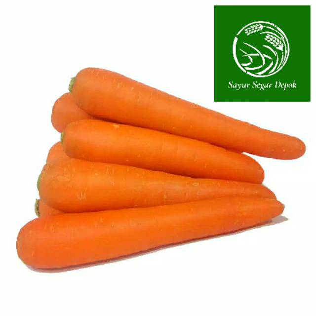

Wortel Fresh Berkualitas Perkilogram