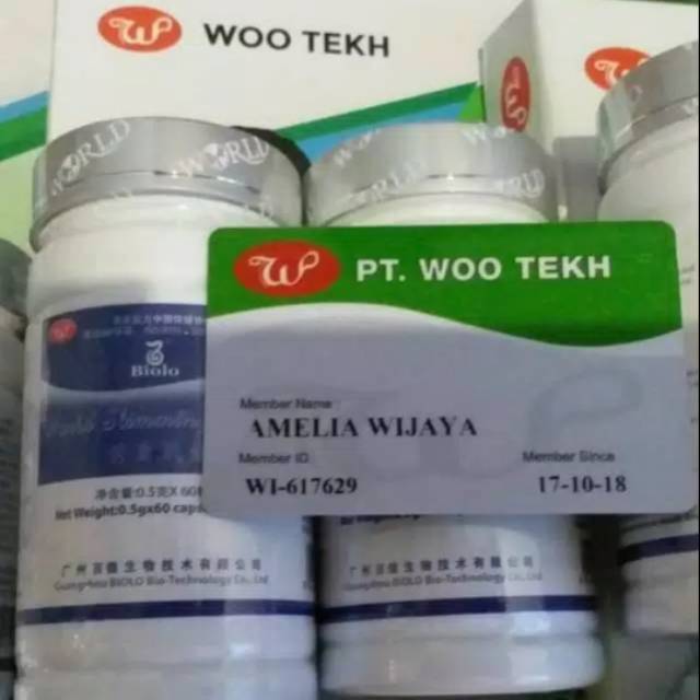 BIOLO WSC IMPORT WOOTEKH 100% ORI isi 60 kapsul TERMURAH