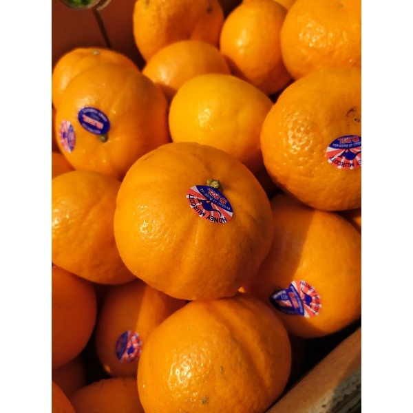 

HONEY MURCOT AUSTRALIA