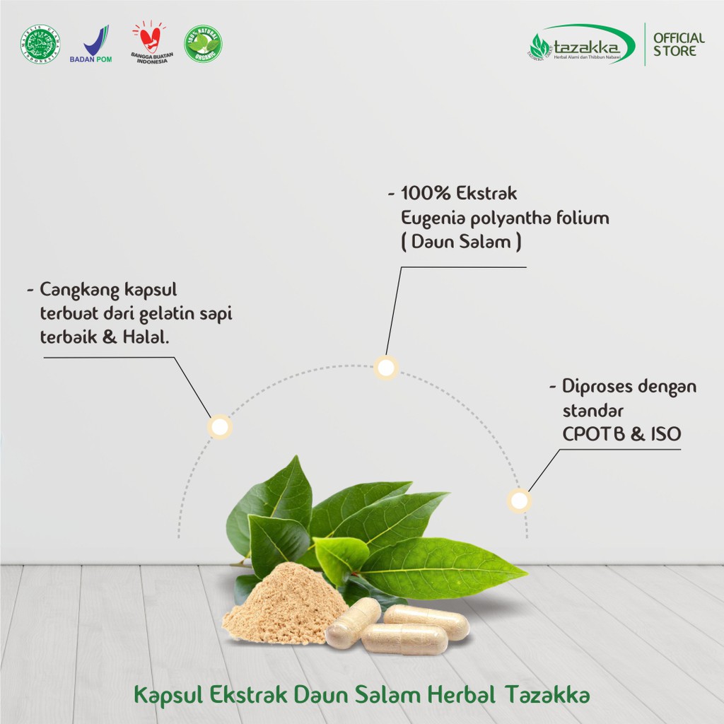 Obat Pegal Linu | Obat Nyeri Sendi | Kapsul Herbal DAUN SALAM Tazakka HALAL BPOM Original isi 60