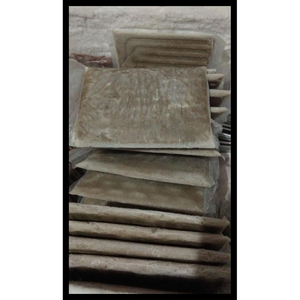 

SPECIAL KUTU AIR BEKU /FROZEEN