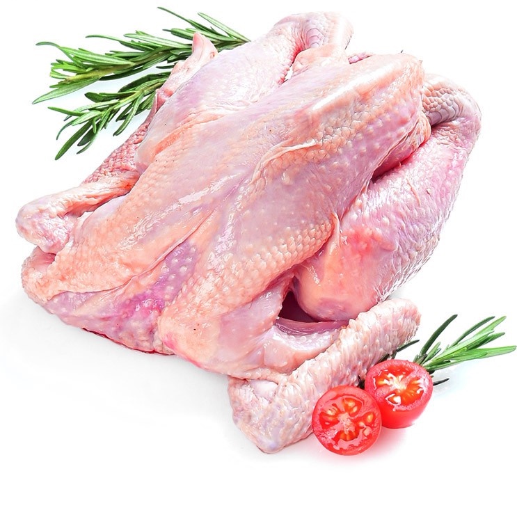 

Ayam Kampung Organik 0.8 - 0.9 Kg (BEKU)