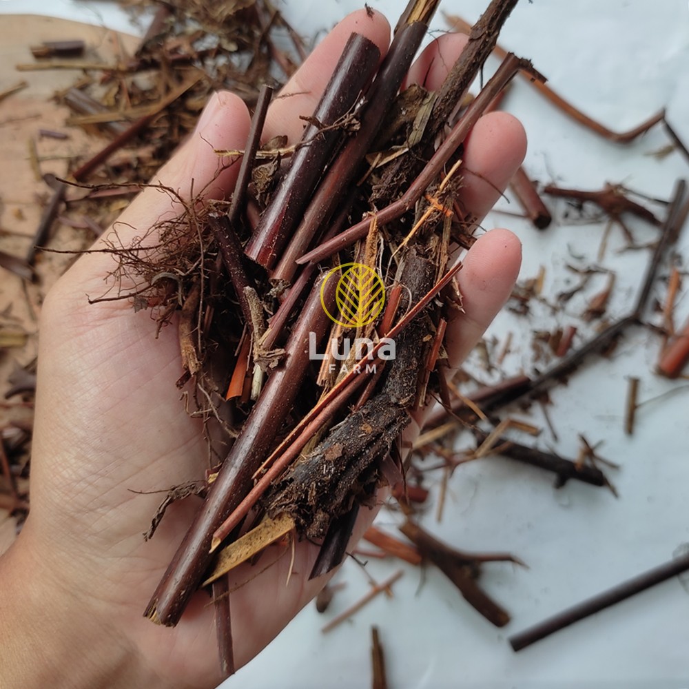 Andam Media Tanam Andam 1 kg