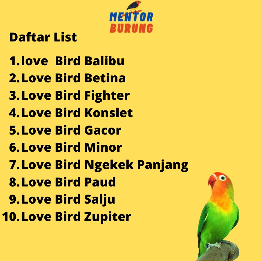 Speaker Mp3 Masteran Khusus Burung Love Bird Dijamin Gacor Original Mentor Burung Trotolan Gantangan Love Bird