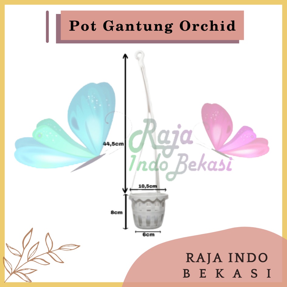 Pot Gantung Anggrek Orchid 10 cm Putih Pot Anggrek Murah Bkn Pot Anggrek Gantung NKT Putih 14